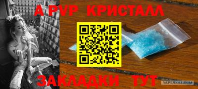круглые Кингисепп