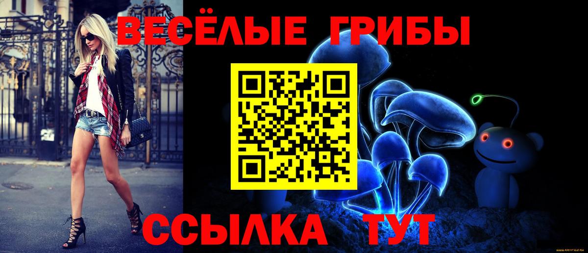 Псилоцибиновые грибы Psilocybe  Вход с VPN  Ульяновск 